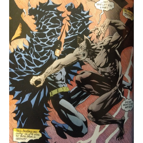 elsebat2-2