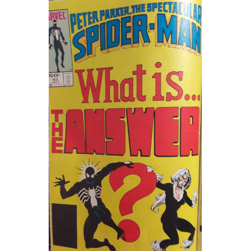 spider-view-and-the-answer-is-1